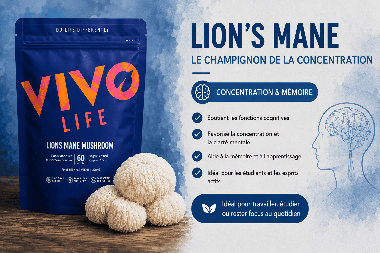 lions mane concentration memoire champignon adaptogene